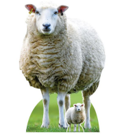 Tiere Pappaufsteller Schaf