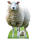 Tiere Pappaufsteller Schaf