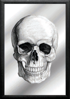 KS106 Skull - front - Bedruckter Spiegel