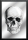 KS106 Skull - front - Bedruckter Spiegel
