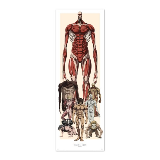 TP 806 - Attack on Titan - Titanenwandler - Türposter 53x158 cm