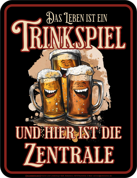 Mein Leben ist ein Trinkspiel - hochwertig bedrucktes Blechschild - Größe 22x17 cm