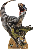 Jurassic World - Rebirth - Velociraptor - Pappaufsteller 144x94 cm