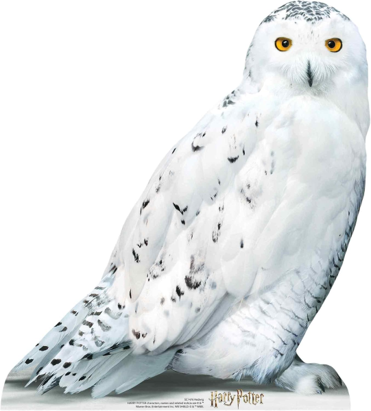 Harry Potter - Eule Hedwig - Mini Pappaufsteller - 67x74 cm
