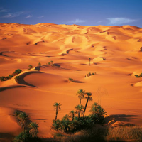 Martin, Michael - Kunstdruck - Sandmeer Erg Ubari