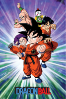 Dragon Ball - Group - Poster 61x91,5 cm