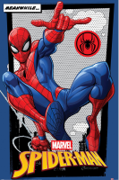 Spider Man - Meanwhile - Poster 61x91,5 cm