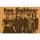 Foo Fighters - Group - Poster 61x91,5 cm