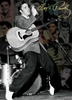 1000 Teile Puzzle - Elvis Presley - Live Olympia Theater