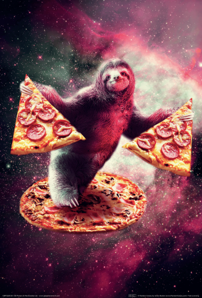 Pizza - Sloth - Poster 61x91,5 cm