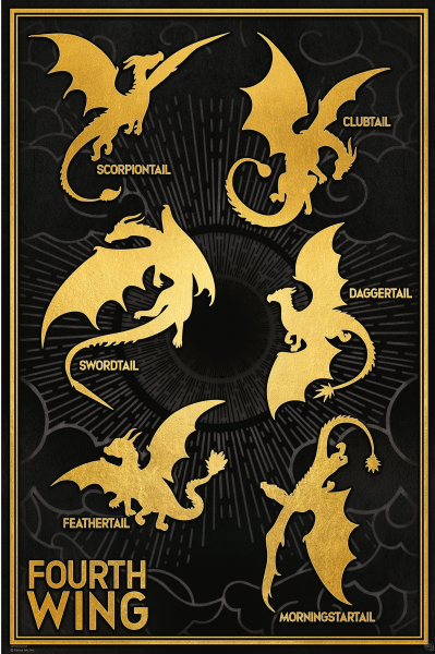 Fourth Wing - Citations - Poster 61x91,5 cm