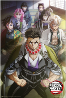Demon Slayer - Hashira Training - Poster 61x91,5 cm