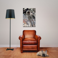David Penfound - Astronaut - Poster 61x91,5 cm