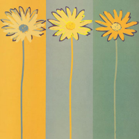 Neer, Rod - Kunstdruck - Marguerite On Stripes