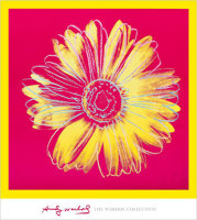 Warhol, Andy - Kunstdruck - Daisy, 1982 Version 2