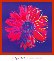 Warhol, Andy - Kunstdruck - Daisy, 1982 Version 3
