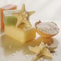 Wampler, Sondra - Kunstdruck - Teaberry