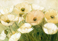 Krobs, Elisabeth - Kunstdruck - Tender Poppies