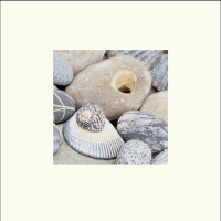 Burgess, Linda - Kunstdruck - Natural Still Life