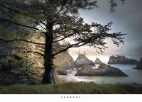 Vanscoy, William - Kunstdruck - All Day Dreamer Baum