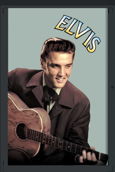 KS123 Presley, Elvis - Gitarre - Bedruckter Spiegel