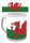 Wales  - Lizenz Tassen - Flag