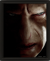 Harry Potter - 3D Poster A4 - Voldemort