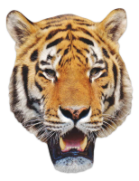 Tier Maske - Masken - Tiger