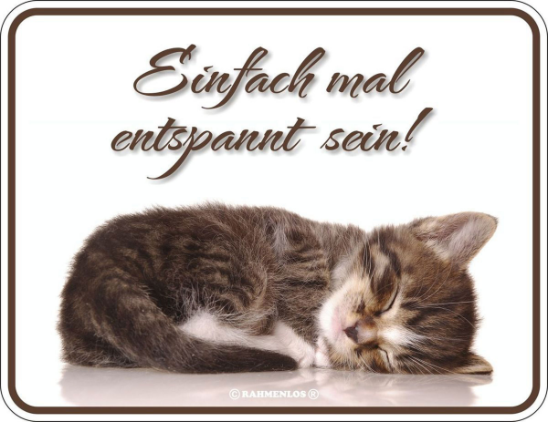 Katzen Sprüche - Magnete - Einfach mal entspannt sein