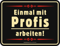 Einmal mit Profis  - Magnete - arbeiten