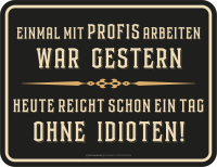 Fun - Magnete - mit Profis war gestern