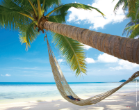 Palms - Mousepad - Mousepad