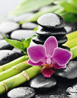 Zen Orchidee 6 Bambus - Mousepad - Mousepad