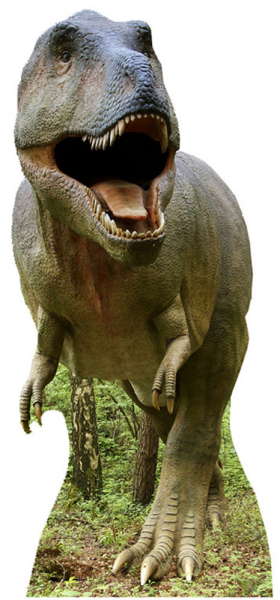 Dinosaurier Pappaufsteller Tyrannosaurus Rex