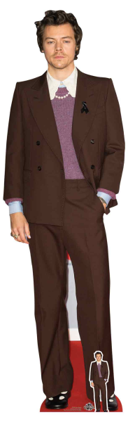 Harry Mauve Jacket Styles Pappaufsteller