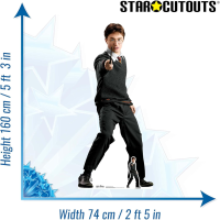 Harry Potter Pappaufsteller Hogwarts Pappaufsteller