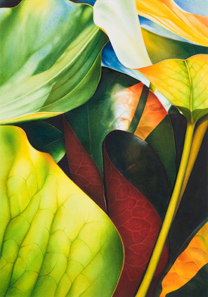 Koch, Angelika Nymphea 2 Giclee-Druck