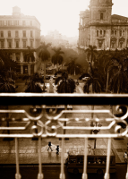 Dombrowski, Barb Havanna IV Giclee-Druck